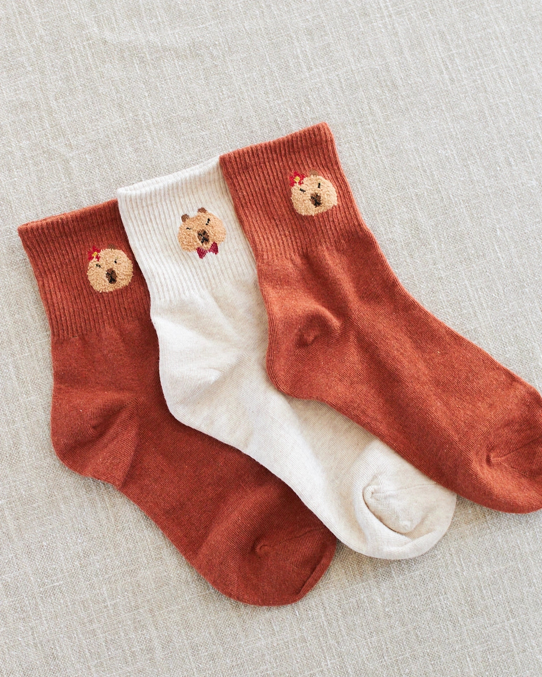 capybara chaussettes mignonnes