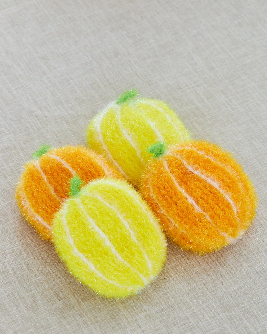 L'ÉPONGE PARFAITE - GROS AGRUME