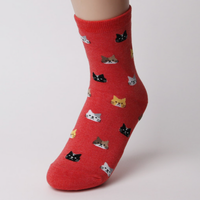 chaussettes hautes pour femme chat rouge - seoul station
