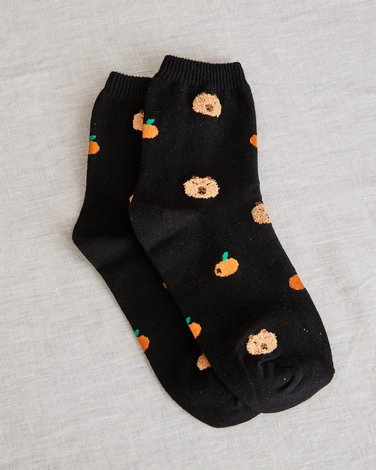seoul station capybara mandarine