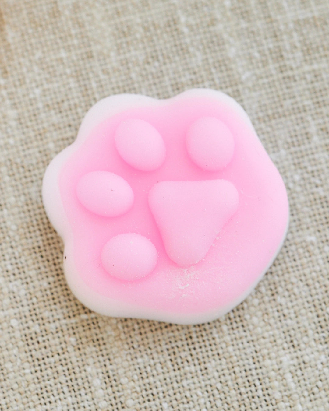 squishy pate de chat